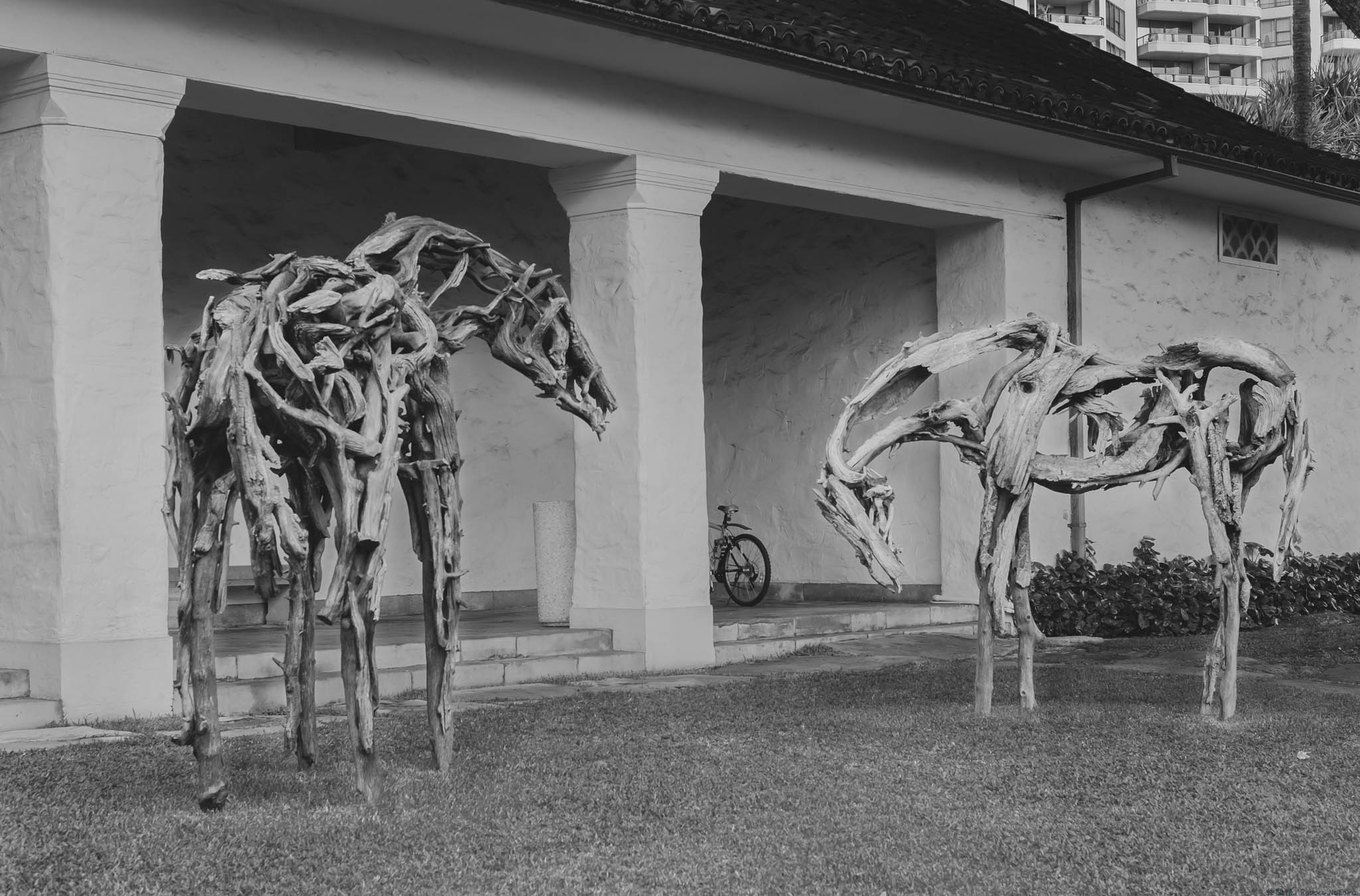 Wooden Horses Outside of the Honolulu Museum of Art