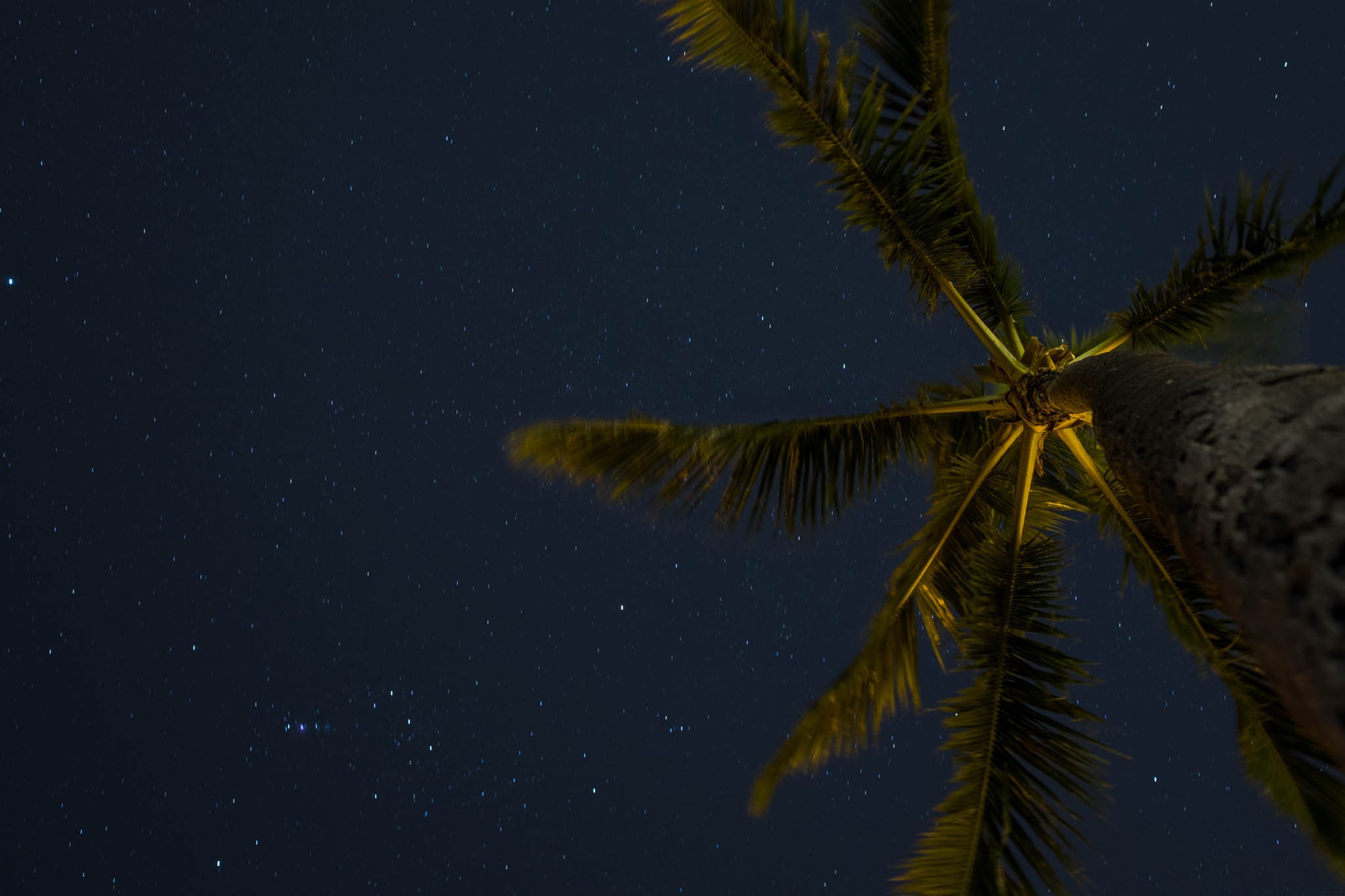 Look Up at the Stars