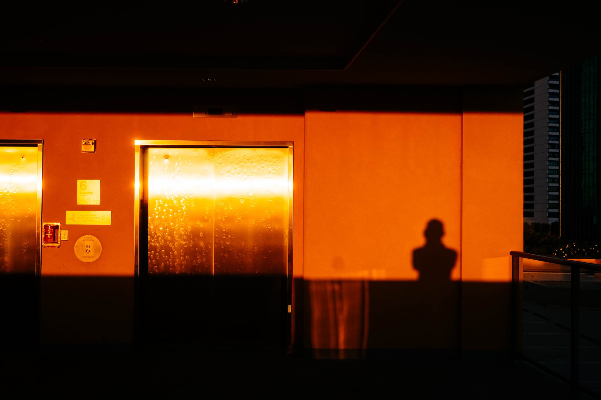 DSCF9658.jpg