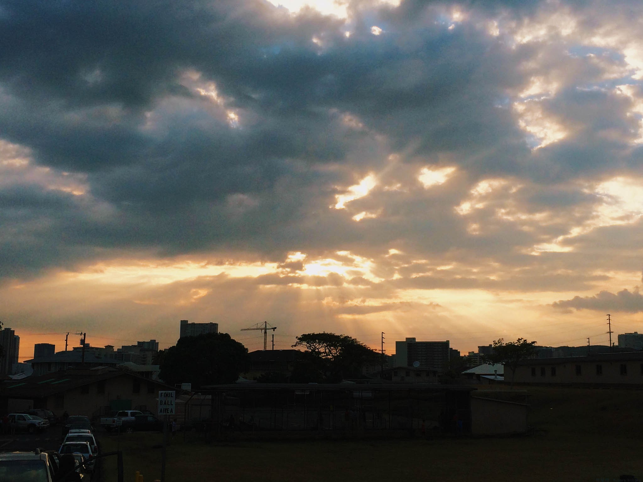 Sun Rays