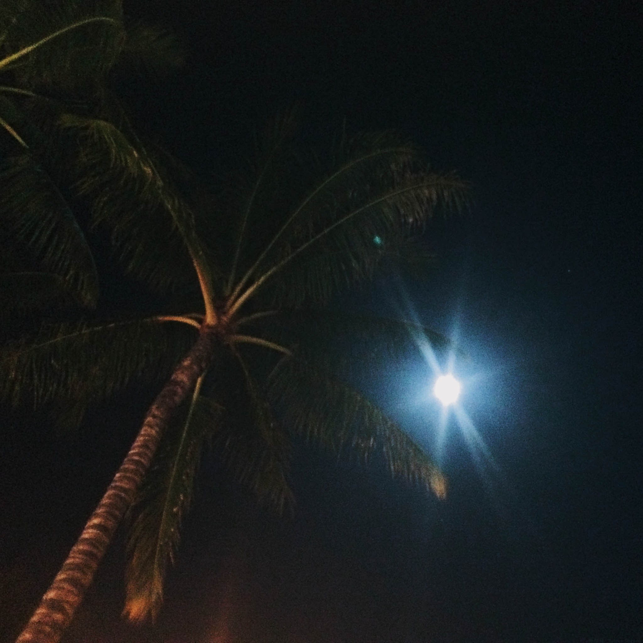 The bright moon