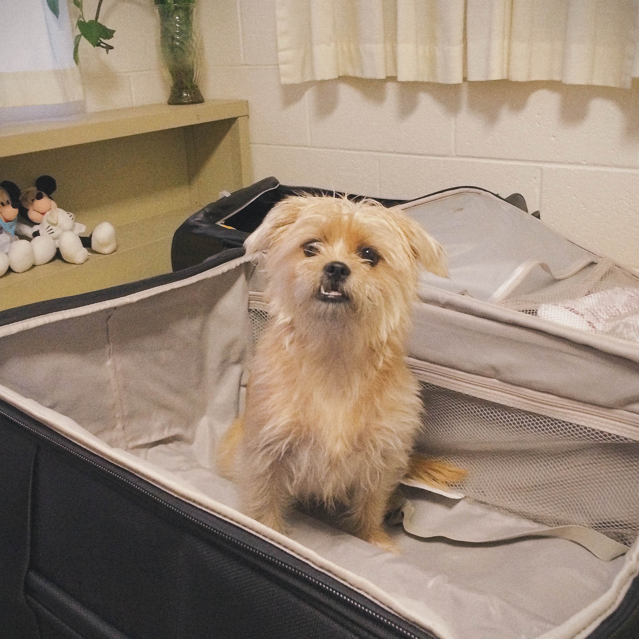 IMG_1918.jpg