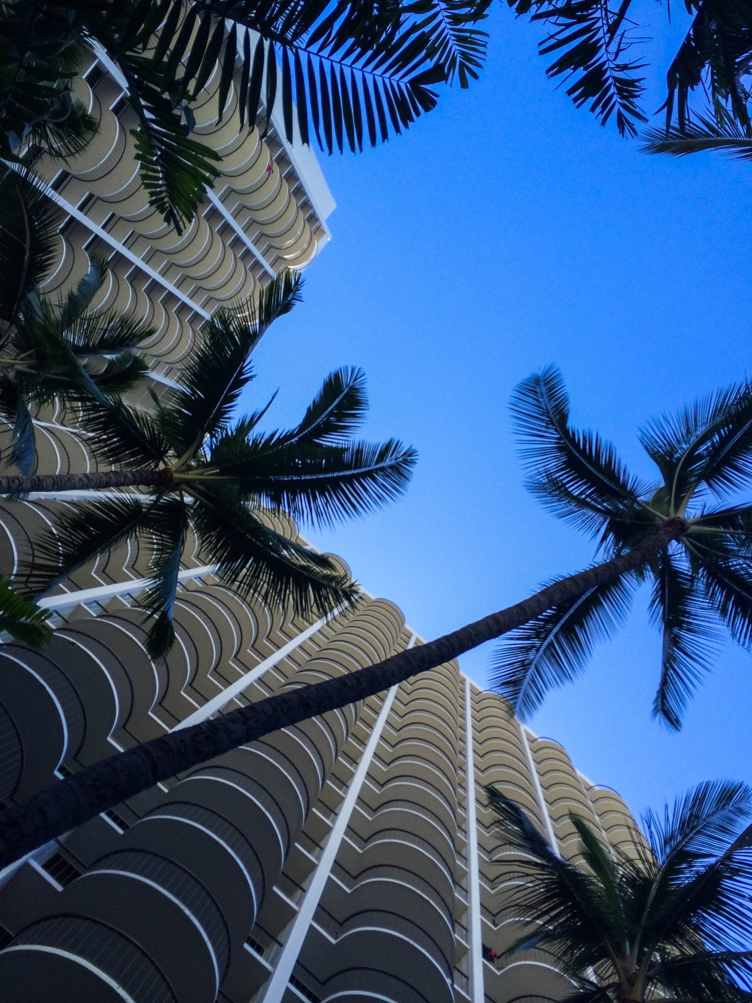 Another Beautiful Day in Waikiki and I'm stuck working