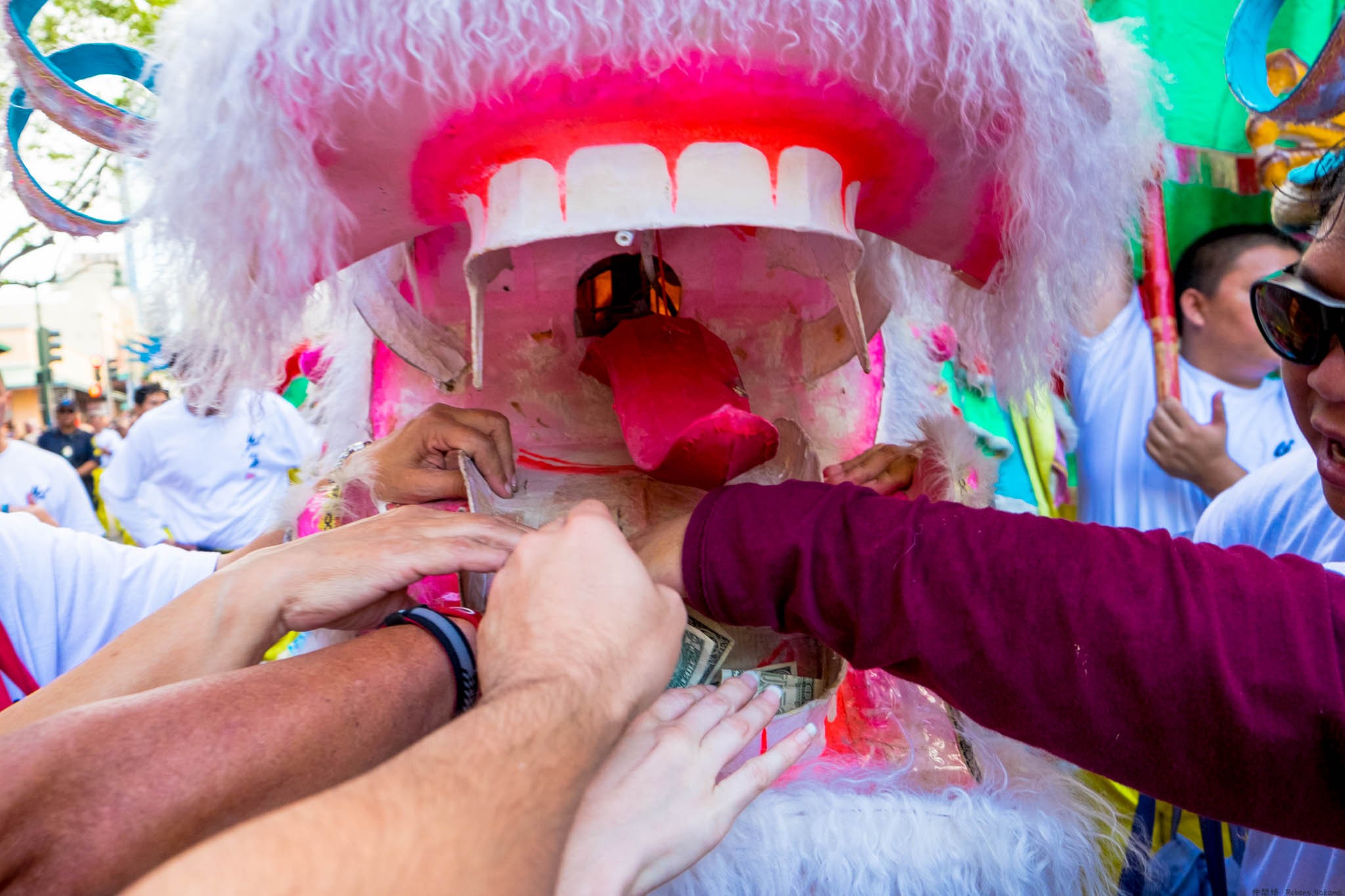 Feeding the Lion for Chinese New Year