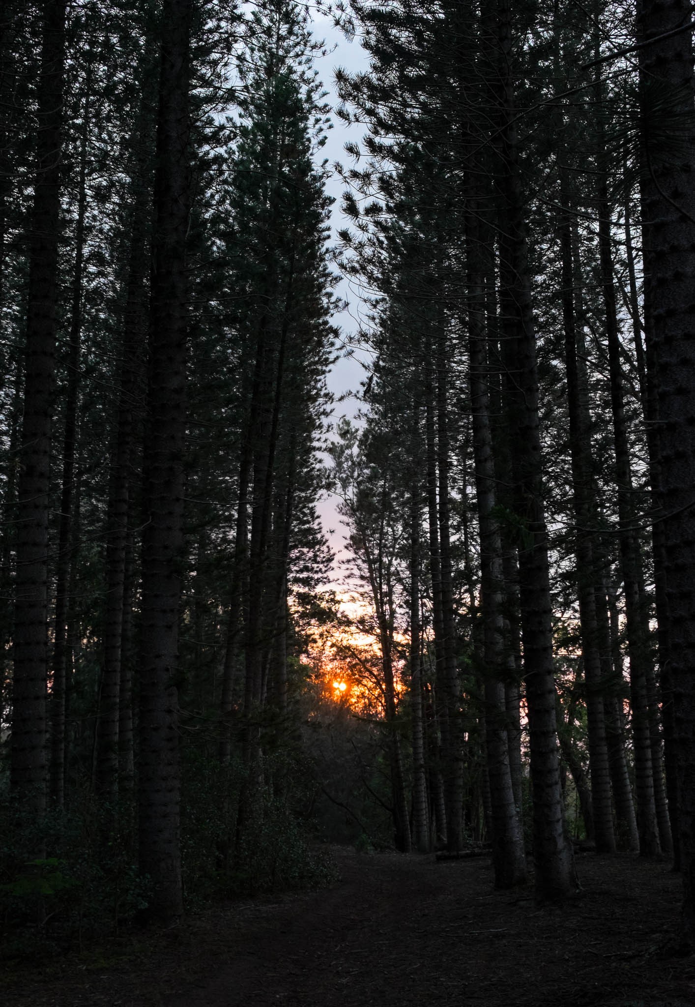 The Light at the End of the Path