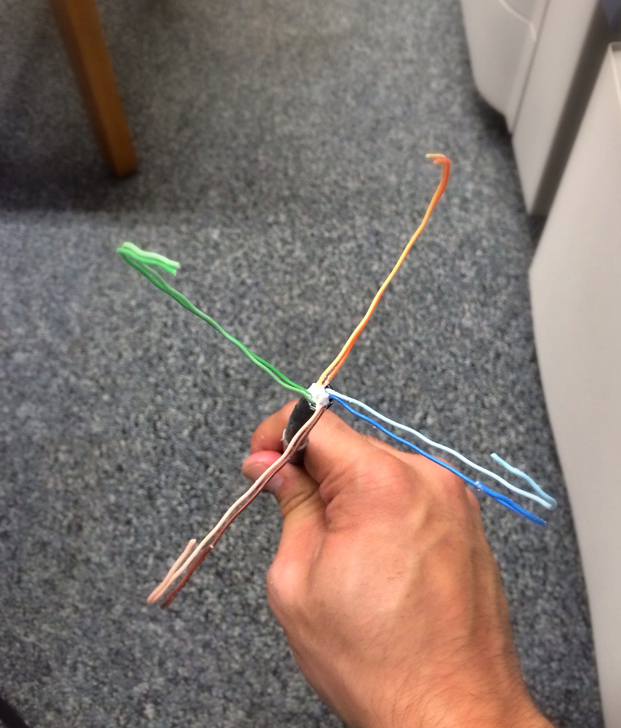 Cat 6 Flower