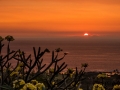 Kona Sunset