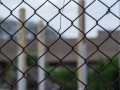Behind the Fence