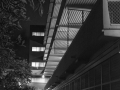 Outside Sinclair Library