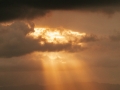 Sunrays beaming down