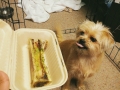 Kona wants her bone