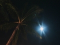 The bright moon
