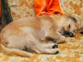 IMG_1458.jpg