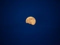 Supermoon Rising
