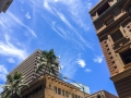 Looking up in Downtown
