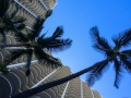 Another Beautiful Day in Waikiki and I'm stuck working