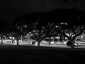 University Ave